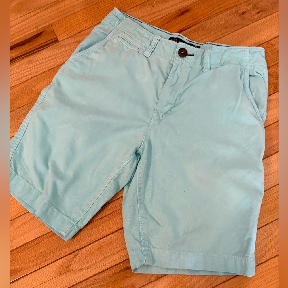 American Eagle Outfitters Mint Green Flat-Front Men's Shorts